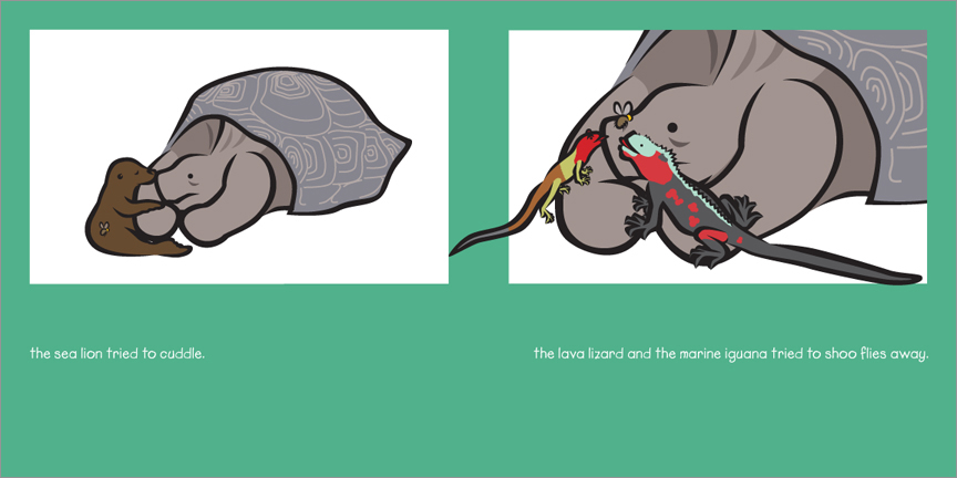Galapagos Islands seals and lizards try to cheer up the tortoise