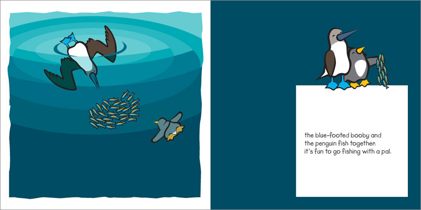 Galapagos Islands blue-footed booby and penguin