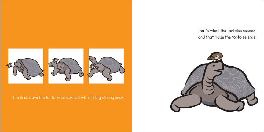 Galapagos Islands finch cheers up the tortoise