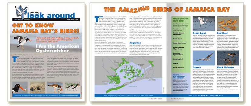 NYCA LookAround newsletter design